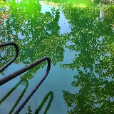 Tomao Platinum Pool Service & Repairs photo 2