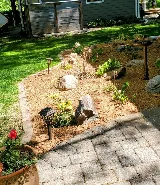 Castro Lawn Care photo 4