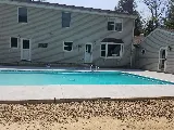 My Pool Guys photo 4