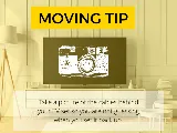 Good Place Movers photo 7