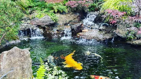 Woody's Custom Landscaping, Inc. photo 1