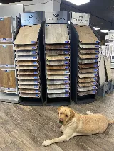 Floor Coverings International photo 8
