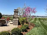Bluestone Landscaping LLC photo 8