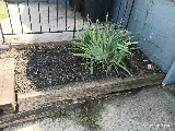 LawnStarter Landscaping photo 8