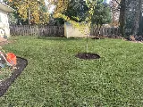 Earthborn Landscape Services