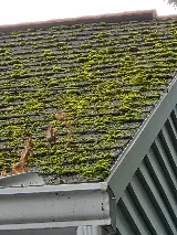 CNY Roof Cleaners photo 8