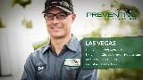 Preventive Pest Control Las Vegas