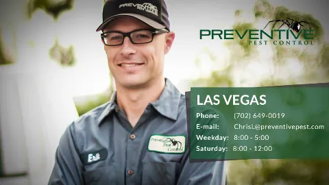 Preventive Pest Control Las Vegas photo 1