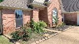 901 Pest Control photo 7
