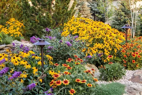 Billings Nursery & Landscaping photo 1
