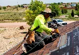Integrity Roofing and Painting photo 6