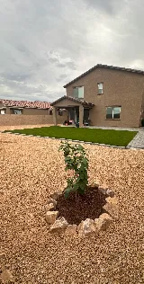 Dawn Till Dusk Landscaping, LLC photo 2