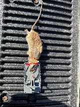 Preferred Pest Management photo 7