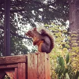 EcoCare Pest Control photo 8