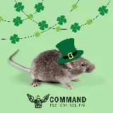 Command Pest Control photo 2