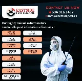 Eastside Pest Control Vancouver photo 7