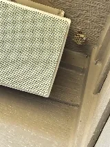 Fenix Pest Control, Inc. photo 6