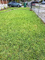 landscaping service photo 7