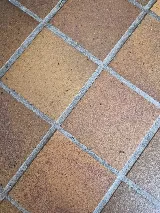 Ultimate Pest Solutions - Pest Control Vaughan photo 5