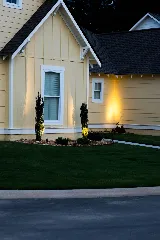 Olive Branch photo 7