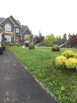 Landscaping experts Tree Planting, Sodding, Garden design photo 4
