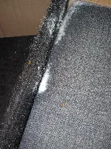 Pest Control PRO - Dublin photo 8
