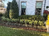 Hogue Landscape Services photo 4