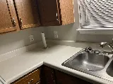 Thrive Pest Control photo 6