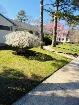 Mission Landscaping LLC & Tree Service