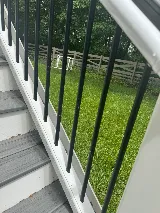 Green Pest Services photo 7