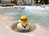 Premium Pool and Spa photo 7