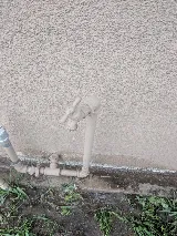 Official Pest Prevention photo 5