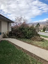 Seasons Four Landscape & Maintenance photo 8