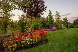 FarWest Landscape Company photo 6