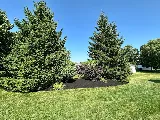 Landscape For Less of Western New York photo 3