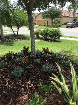 Hughes Exterminators photo 3