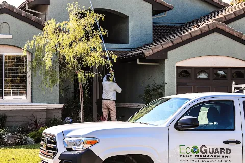 EcoGuard Pest Management photo 1