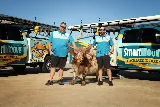 Smart Moove Garage Doors photo 2