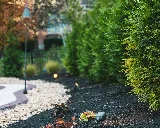 LawnScapes photo 7