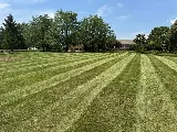 Diversified Lawn and Landscape photo 3