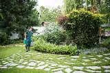 Bend Pest Control Precision photo 5