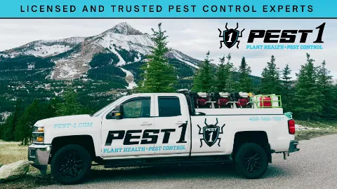Pest 1 in Bozeman