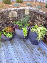 New Garden Landscaping & Nursery photo 7