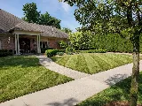 Lucia Landscaping photo 8
