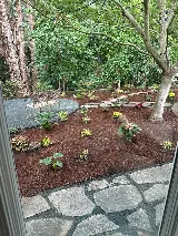 Lawrence Bennett Landscape Design and Construction photo 7