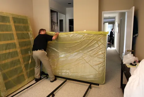 Bed Bug Exterminator Buffalo photo 1