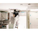 Pedigree Painting photo 3