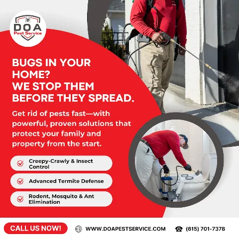 Nashville Pest Control in Nashville