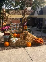 Groundshog Landscaping photo 6