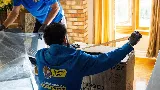 Superior Mover photo 8